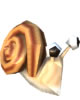 Snail